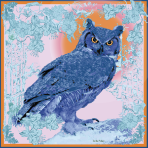 Owl rose et bleu by Stella Polare