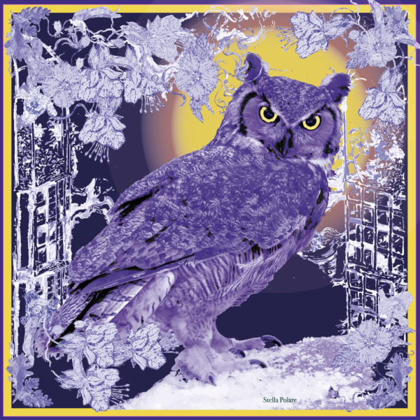 Owl violet by Stella Polare