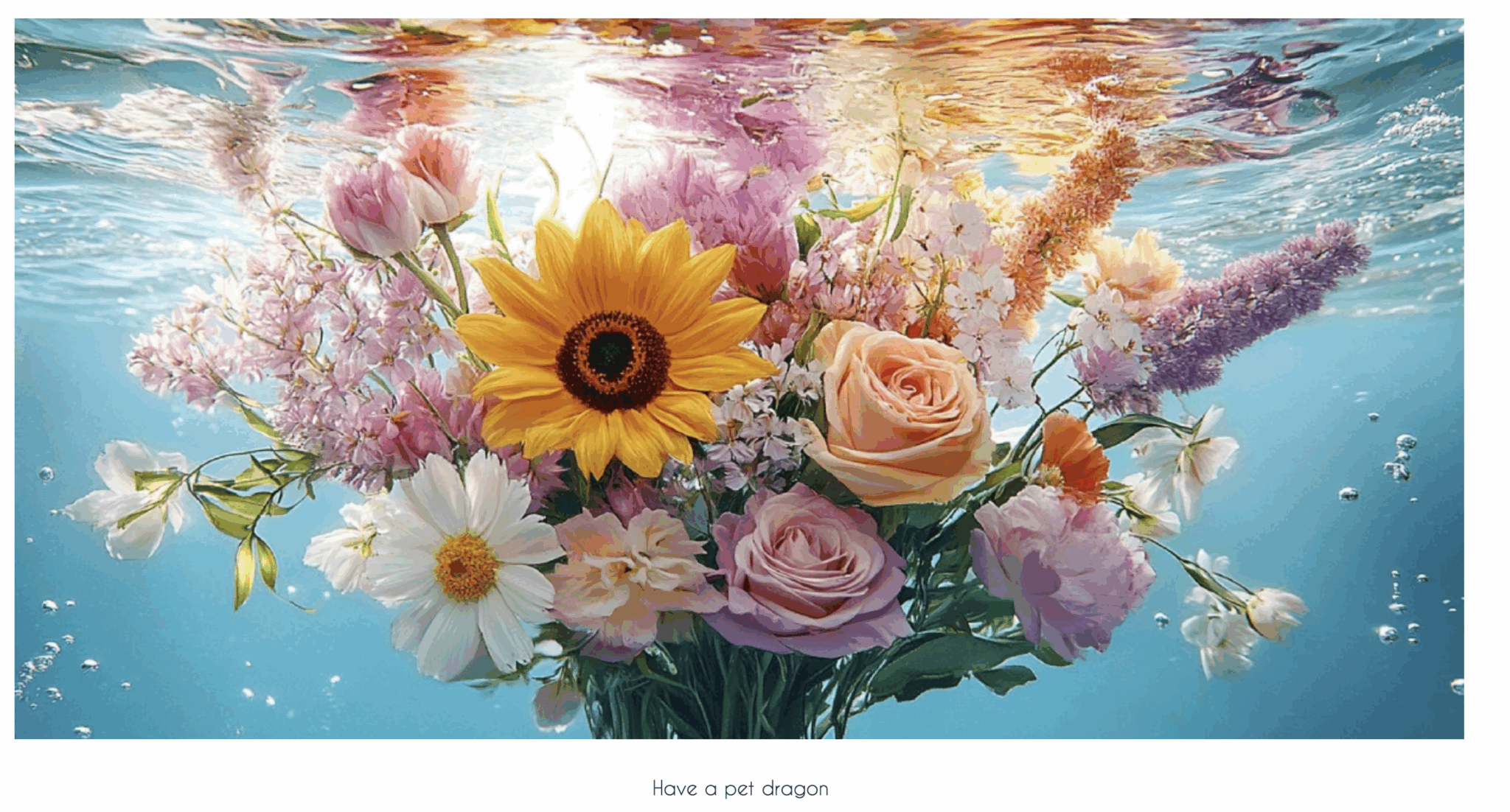 Capture d’écran 2025-09-22 à 09.11.47