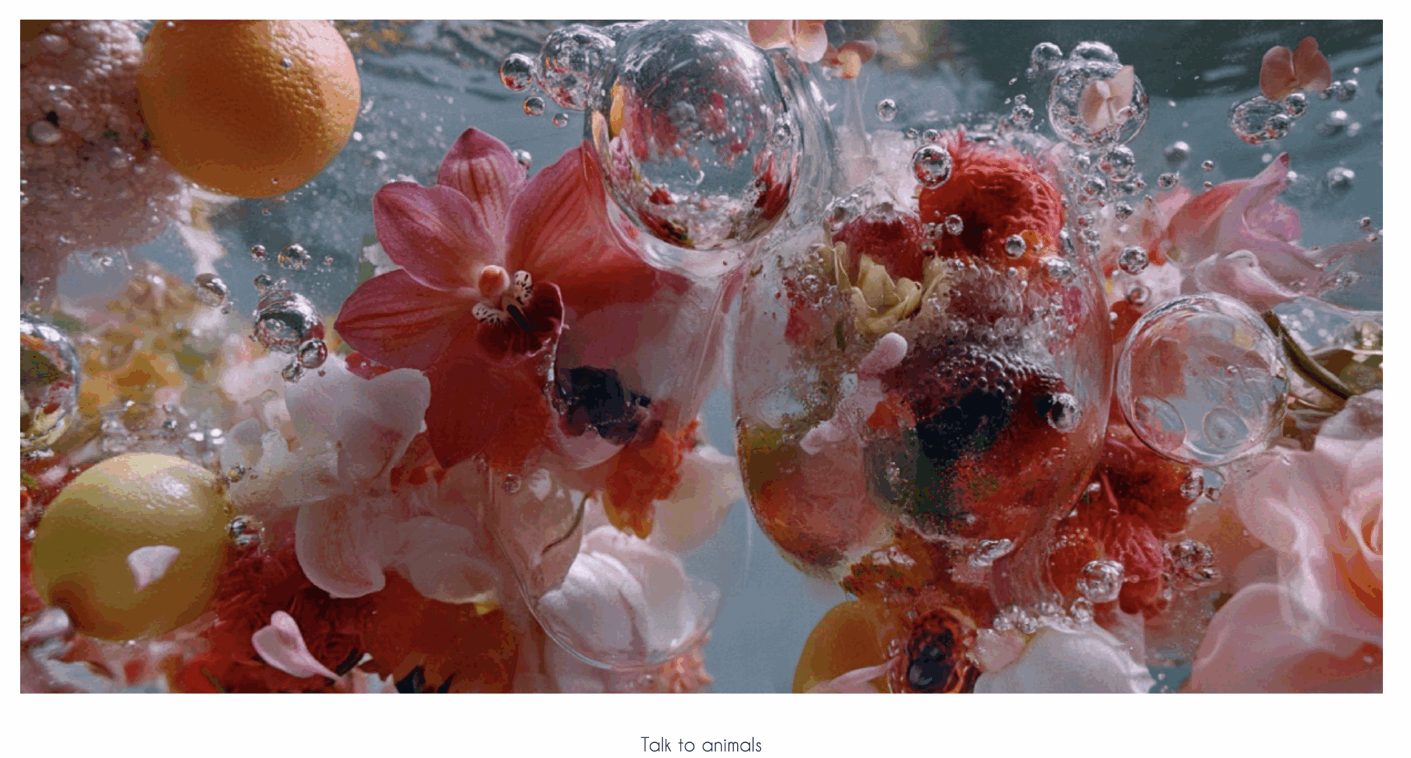 Capture d’écran 2025-09-22 à 09.12.22